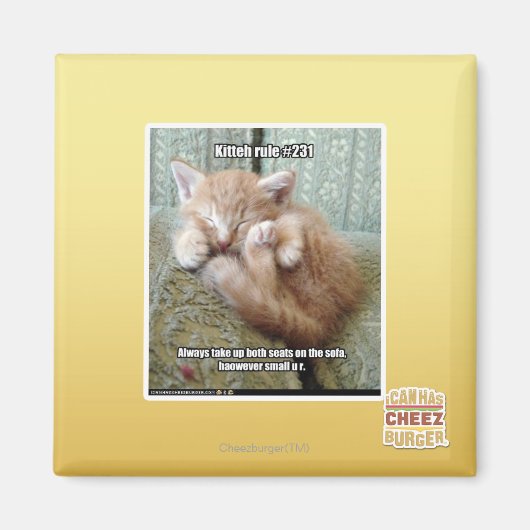 Aimant Règle de Kitteh #231 (Devant)