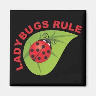 Aimant Règle Ladybugs