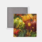 Aimant Regroupement Automne (Recto/Verso)