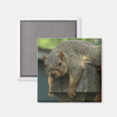 Aimant Reine Eleanor du Royaume pacifique (Recto/Verso)