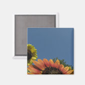 Aimant Rejoignez le ciel ! (Recto/Verso)