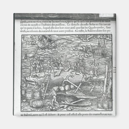 Aimant Rejoindre une baleine (Devant)