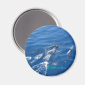 Aimant Relaxation (Recto/Verso)