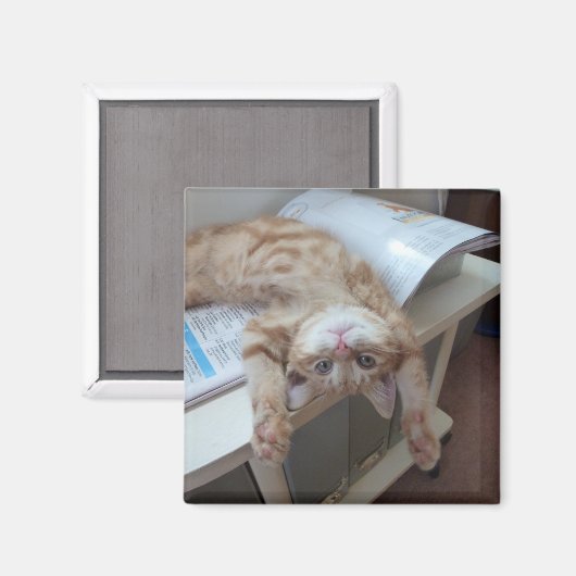 Aimant Relaxation de Kitty (Recto/Verso)