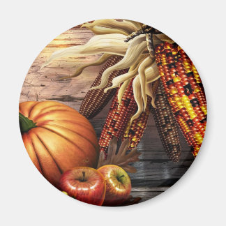 AIMANT REMERCIEMENT 2009