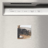 Aimant Renard noir ou argenté américain (Vulpes fulvus) (In Situ (Lave-vaisselle))