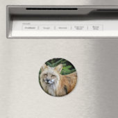 Aimant Renard sauvage (In Situ (Lave-vaisselle))