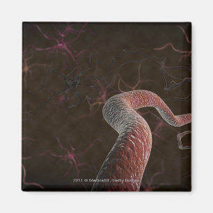 Aimant Rendu de Digitals des neurones