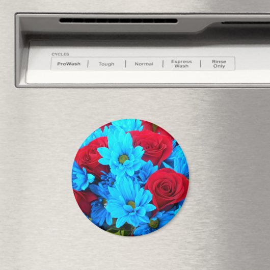 Aimant Renilde (In Situ (Lave-vaisselle))