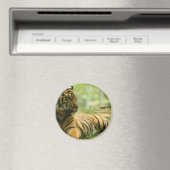 Aimant Repose de l'aimant de tigre (In Situ (Lave-vaisselle))