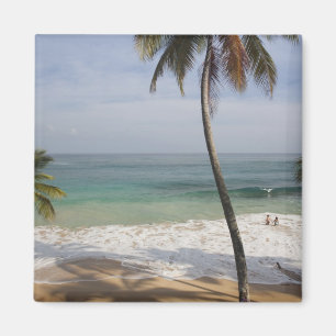 Aimant République dominicaine, côte nord, Abreu, Playa 4