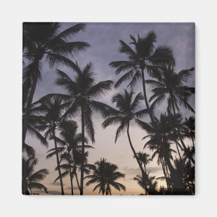 Aimant République dominicaine, péninsule de Samana, Las