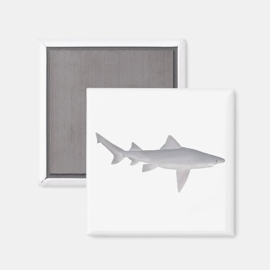 Aimant Requin à bec (Recto/Verso)