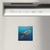 Aimant Requin Baleine Nageant (In Situ (Lave-vaisselle))