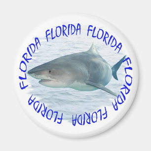 Aimant Requin de Floride