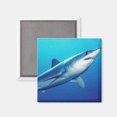 Aimant Requin de Mako de Shortfin (Recto/Verso)