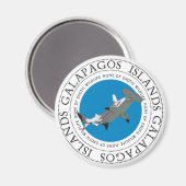 Aimant requin marteau (Recto/Verso)