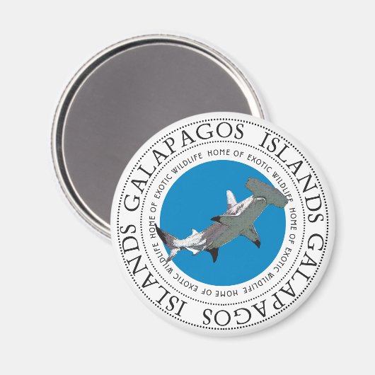 Aimant requin marteau (Recto/Verso)