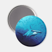 Aimant requin marteau (Recto/Verso)