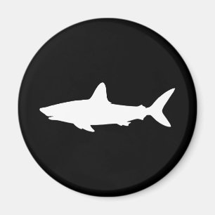 Aimant Requin qui Nage