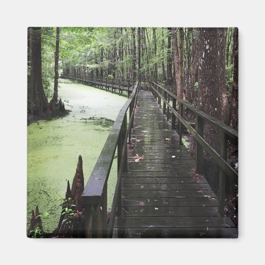 Aimant réserve côtière de santee (Devant)