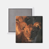 Aimant Réserve faunique de Moremi, Botswana 2 (Recto/Verso)