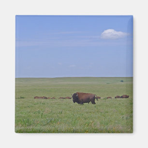 Aimant Réserve nationale des Prairies de Tallgrass - Kan