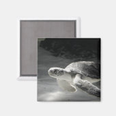 Aimant Réservoir de tortue (Recto/Verso)