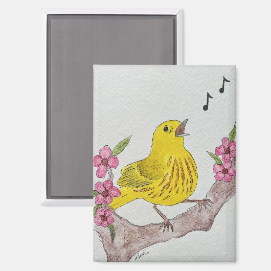 Aimant Ressort (Recto/Verso)