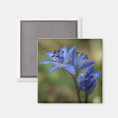 Aimant ressort bleu (Recto/Verso)