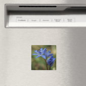 Aimant ressort bleu (In Situ (Lave-vaisselle))