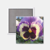 Aimant ressort coloré Pansy (Recto/Verso)