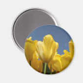 Aimant ressort jaune (Recto/Verso)