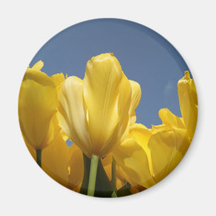 Aimant ressort jaune