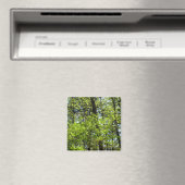 Aimant Ressource Feuille (In Situ (Lave-vaisselle))