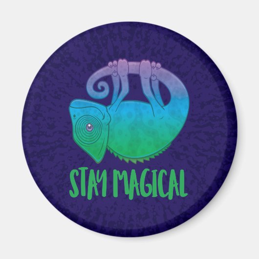 Aimant Restez magique Lévitation Chameleon (Devant)