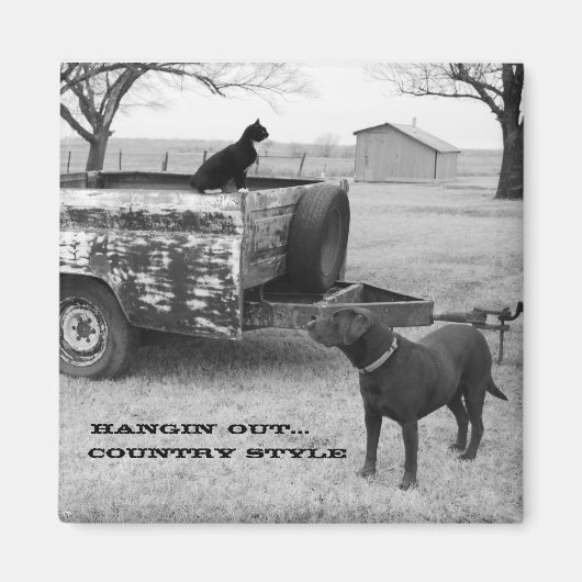 Aimant Retirer l'aimant (Devant)