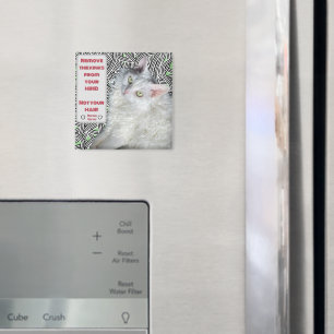 Aimant Retirez les roses de votre esprit, pas vos cheveux