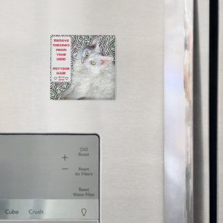 Aimant Retirez les roses de votre esprit, pas vos cheveux