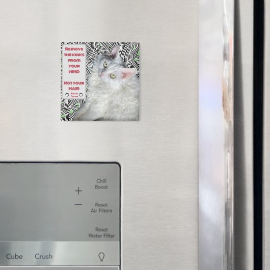 Aimant Retirez les roses de votre esprit, pas vos cheveux (In situ (réfrigérateur))