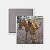 Aimant Retour (Recto/Verso)