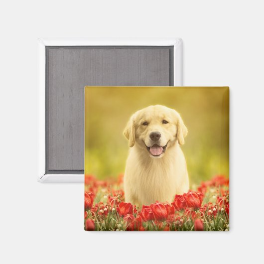 Aimant Retraite d'or en fleurs rouges (Recto/Verso)