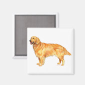 Aimant Retriever doré (Recto/Verso)