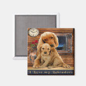 Aimant Retriever du Labrador (Recto/Verso)