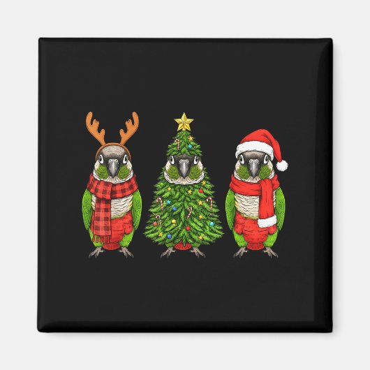 Aimant Retro Christmas Green Cheek Conure Parrot Santa Re (Devant)