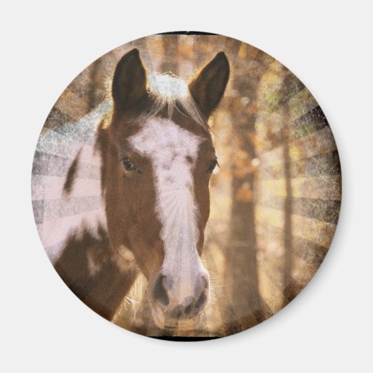 Aimant Retro Pinto (Devant)