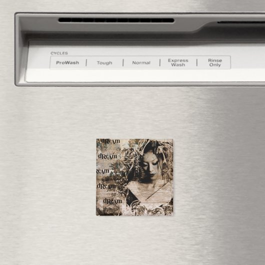 Aimant rêve (In Situ (Lave-vaisselle))