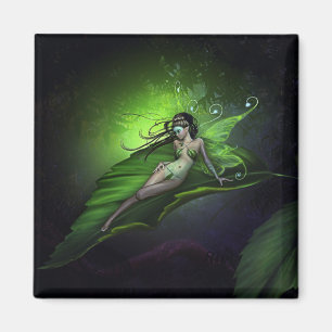 Aimant Rêve magique