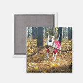 Aimant Rex bâton d'automne du jour (Recto/Verso)