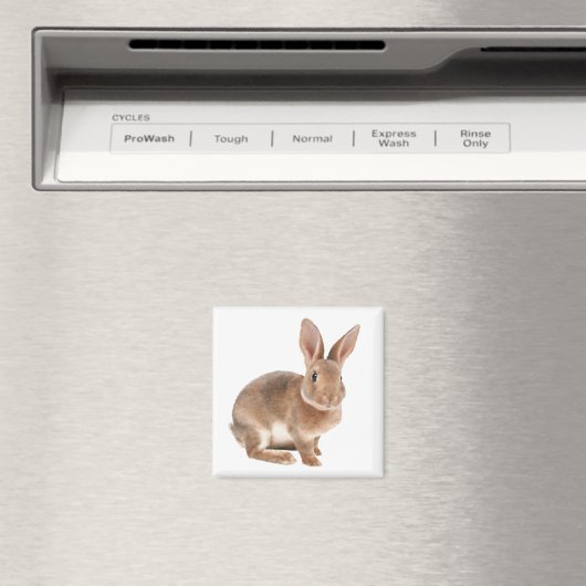Aimant Rex Rabbit (In Situ (Lave-vaisselle))